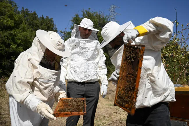 Bornova’da “Arıcılık” geleceğe taşınıyor