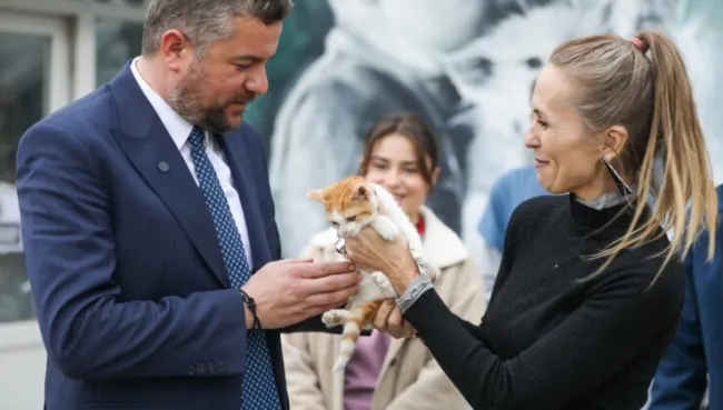  Buca’nın Mucize kedisi