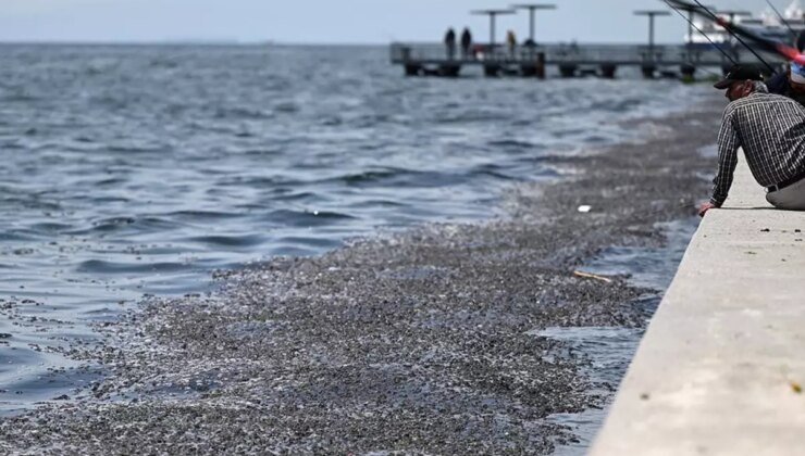 İzmir Körfezi’nde Kirliliğe Soruşturma Başlatıldı!