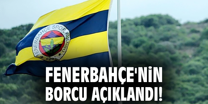 Fenerbahçe’nin Mali Durumu: Borç 18.6 Milyar TL!