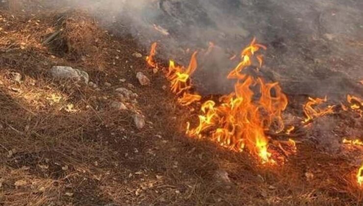 Düziçi’nde Orman Yangını Kontrol Altına Alındı