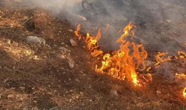 Düziçi’nde Orman Yangını Kontrol Altına Alındı