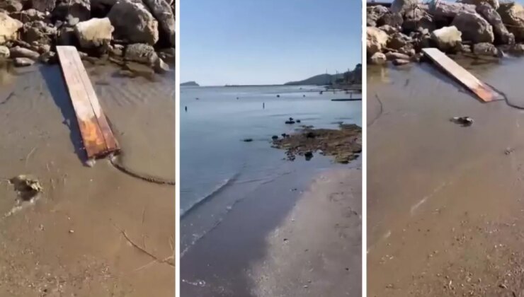 Ege’de Deprem Fırtınası: Deniz Çekiliyor!