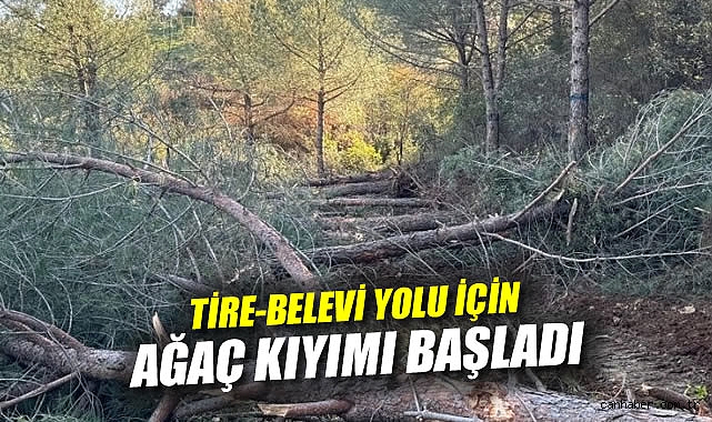 İzmir’de Ağaç Katliamına Tepki Büyüyor!