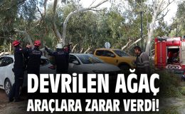 Antalya’da Fırtına, Ağaç Devrildi İki Araç Zarar Gördü