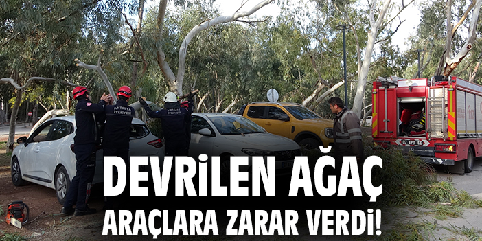 Antalya’da Fırtına, Ağaç Devrildi İki Araç Zarar Gördü