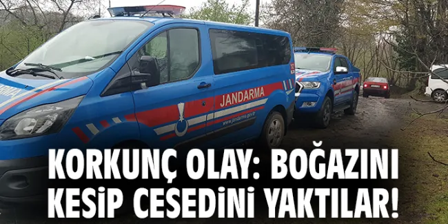 Terme’de Korkunç Hırsızlık: Yaşlı Kadın Öldürüldü!