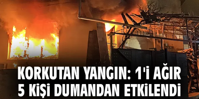 Çorlu’da Yangın: Yaşar Erez Yaralandı, Kedi Kurtarıldı