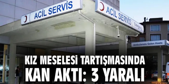 Kürtün’de Kız Meselesi İçin Kanlı Kavga!