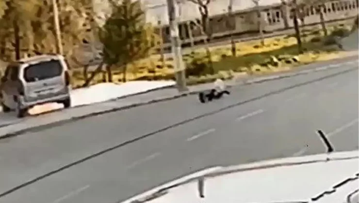 Sokak Köpeği Çocuğu Isırdı, O Anlar Kamerada!