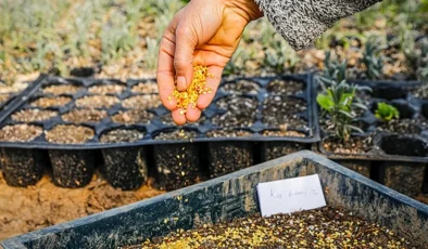 Seferihisar’da 15. Tohum Takas Şenliği Heyecanı