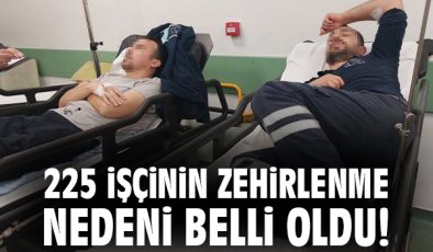 Fabrika Çalışanları Magnolya Tatlısından Zehirlendi