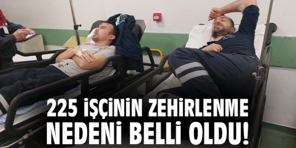 Fabrika Çalışanları Magnolya Tatlısından Zehirlendi