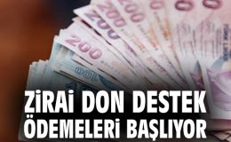 Zirai Don Destek Ödemeleri Bayramdan Sonra!