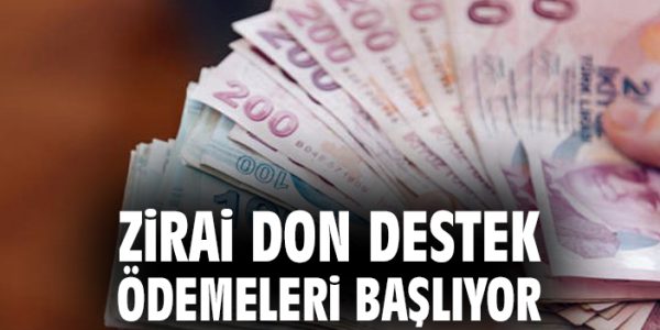 Zirai Don Destek Ödemeleri Bayramdan Sonra!