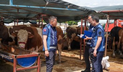 Gaziemir’de kurban satış yerlerinde sıkı denetim