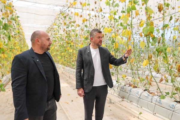 Buca’da Sabotaj Girişimine Karşı Toplu Fide Dikimi Yapılacak