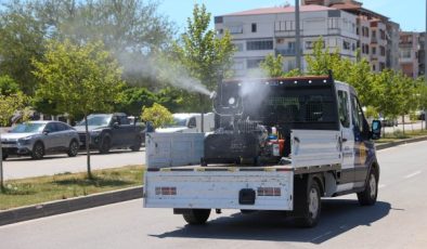 Buca’da Haşere ve Zararlılara Karşı İlaçlama Seferberliği