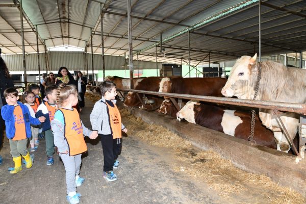 Çiğli Belediyesi’nden çocuklara doğa ve hayvanlarla iç içe unutulmaz bir gün