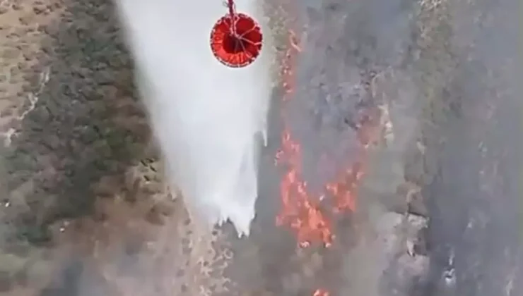 Foça’da Tarım Arazisinde Yangın Paniği!