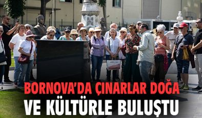Çınarlarla Doğa Turu: Huzur Dolu Bir Gün