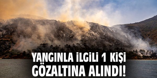 Sakız Adası’nda Orman Yangınları Kontrol Altında