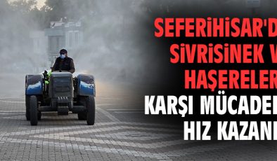 Seferihisar’da Haşereyle Mücadele Seferberliği!