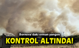 İzmir’de Orman Yangını: 3 Ev Yandı, 3 Gözaltı!