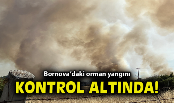 İzmir’de Orman Yangını: 3 Ev Yandı, 3 Gözaltı!
