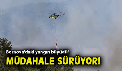 Bornova’da Orman Yangını: Hızla Yayılıyor!