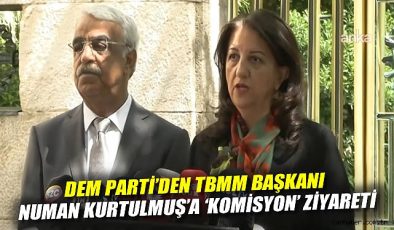 DEM Parti’den TBMM’de Barış Komisyonu Hamlesi