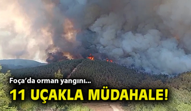 Foça’da Orman Yangını: Hava ve Karadan Müdahale!