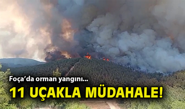 Foça’da Orman Yangını: Hava ve Karadan Müdahale!
