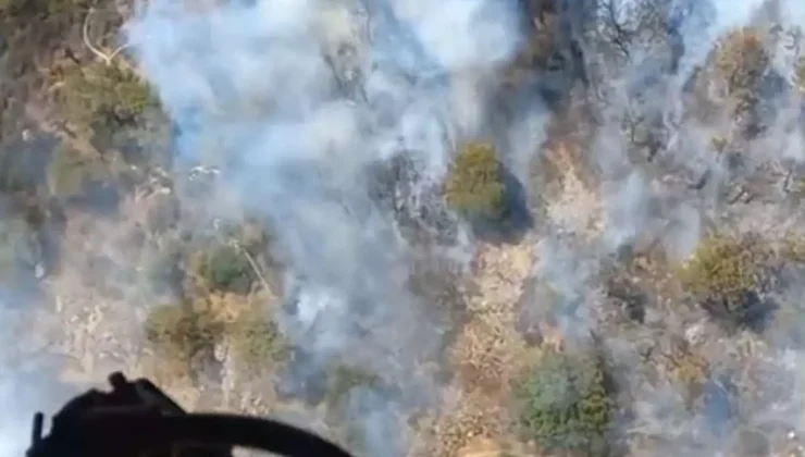 Foça’da Yangın, Hızla Kontrol Altına Alındı!