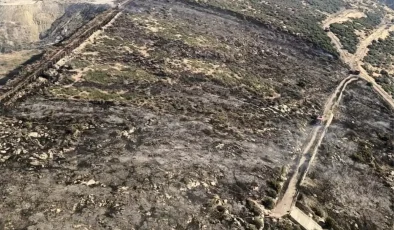 İzmir’de Makilik Alanda Yangın Kontrol Altında!