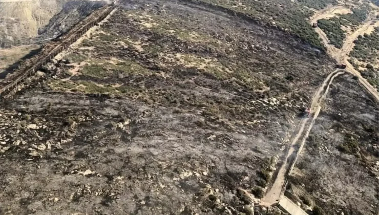 İzmir’de Makilik Alanda Yangın Kontrol Altında!