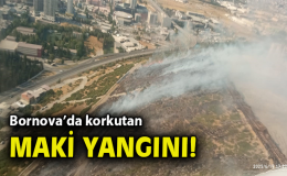 Zafer Mahallesi’nde Yangın! Müdahale Sürüyor
