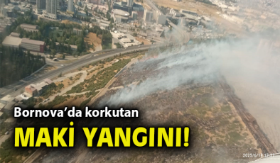Zafer Mahallesi’nde Yangın! Müdahale Sürüyor