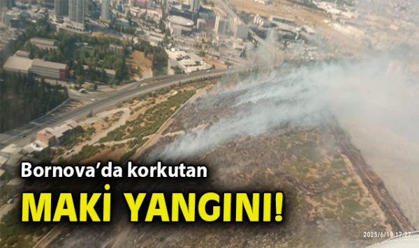 Zafer Mahallesi’nde Yangın! Müdahale Sürüyor