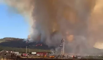 İzmir’de Orman Yangını: 60 Kişi Tahliye Edildi!