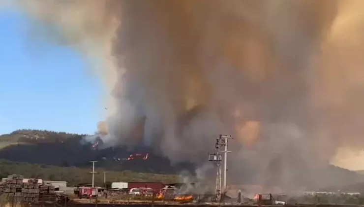 İzmir’de Orman Yangını: 60 Kişi Tahliye Edildi!