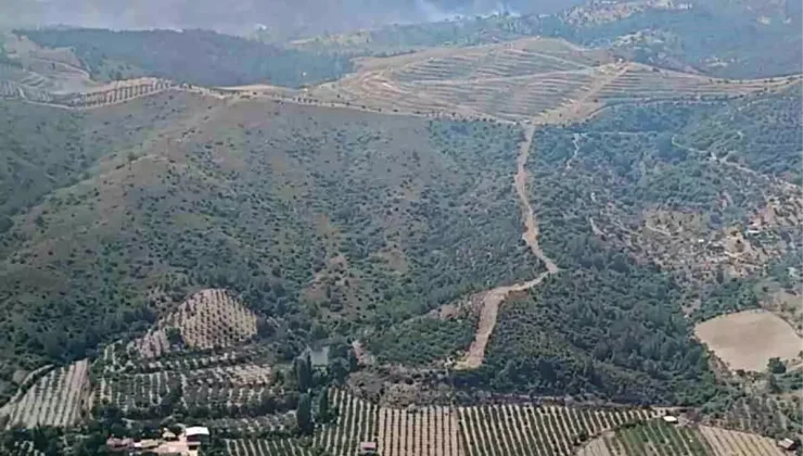 Seferihisar’da Orman Yangını Kontrol Altına Alındı