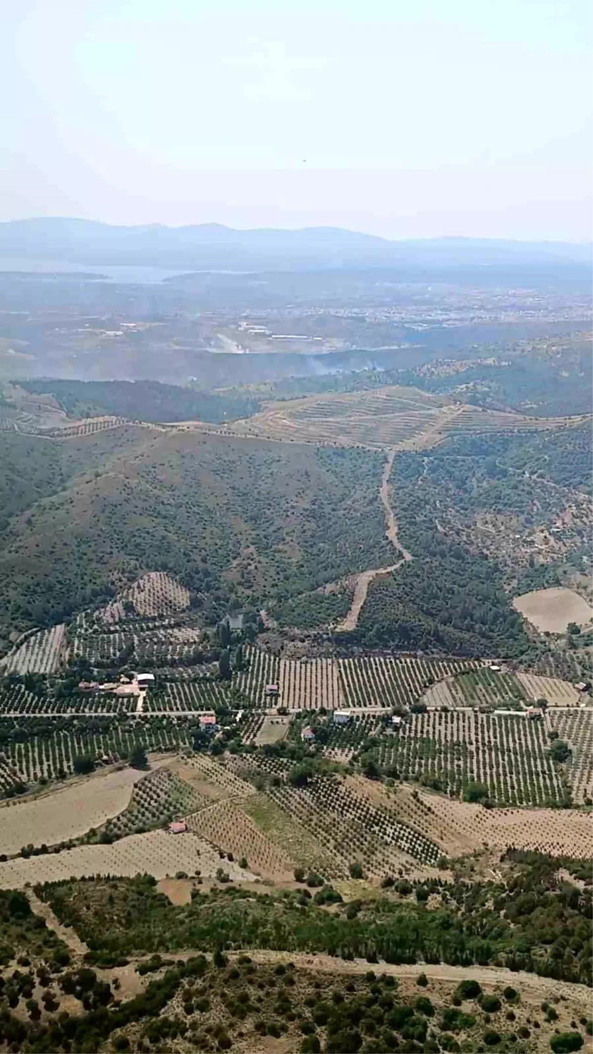 Seferihisar’da Orman Yangını Kontrol Altına Alındı