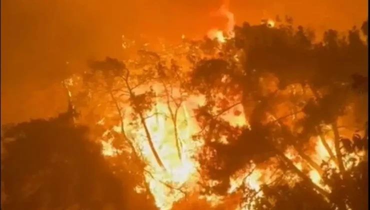 İzmir’de Yangın Faciası: 15 Hane Alevlere Teslim!