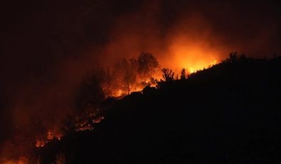 İzmir’deki orman yangınlarına müdahale sürüyor