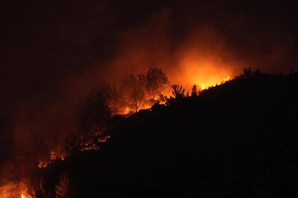İzmir’deki orman yangınlarına müdahale sürüyor