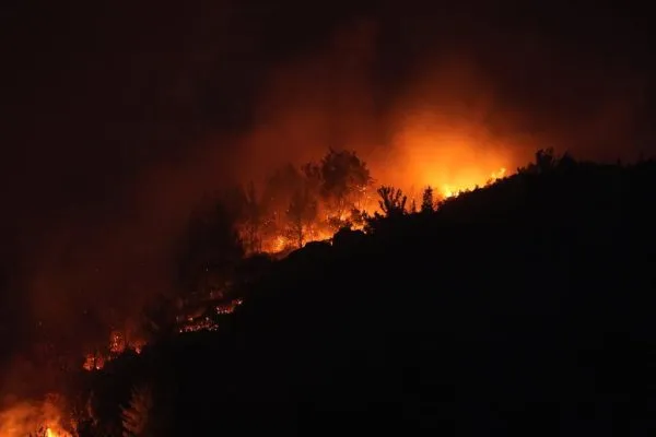 İzmir’deki orman yangınlarına müdahale sürüyor