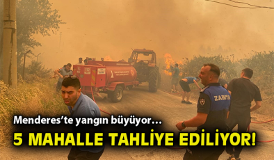 İzmir’de Orman Yangını: Alevler Mahallelere Ulaştı!