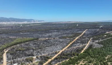 İzmir’in Acı Raporu: 26 Bin 260 Hektar Kül Oldu