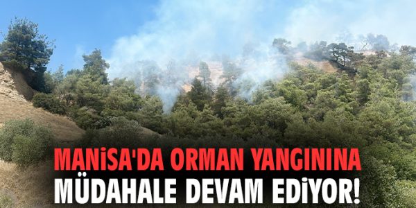 Yangınla Mücadelede Ekipler Seferber Oldu!